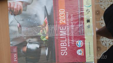 Sublime 2030