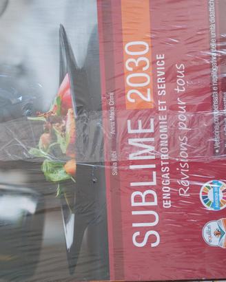 Sublime 2030