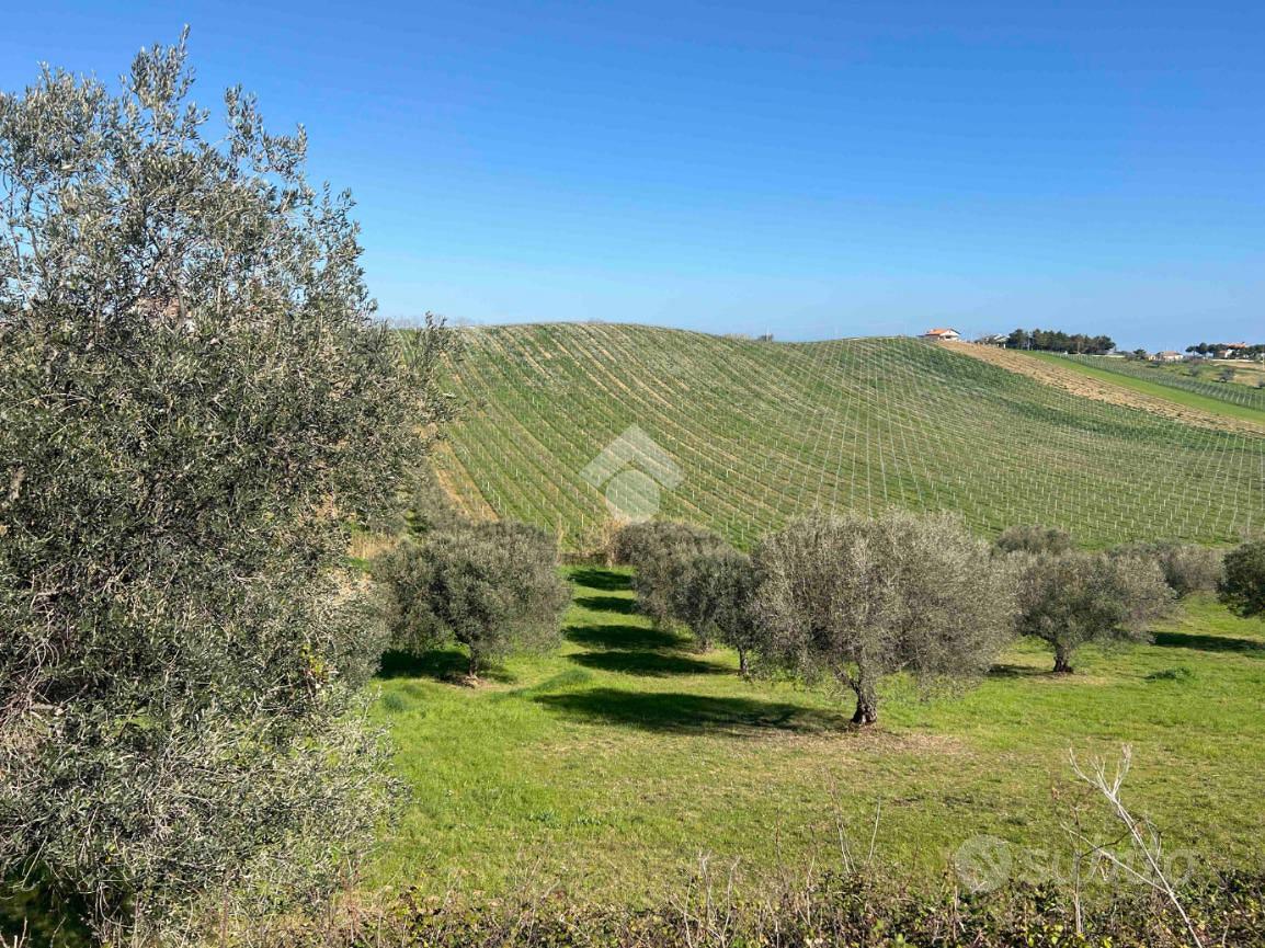 TER. AGRICOLO A ROSETO DEGLI ABRUZZI - Vista 2