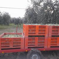 Rimorchio porta Bins