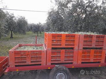 Rimorchio porta Bins