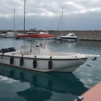 boston whaler 26/24/22/18/17/16