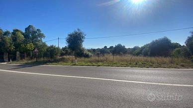 Rif. 1545 - Terrasini terreno mq 2000 agricolo