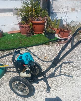 Decespugliatore a spinta 