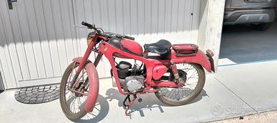 Capriolo Aermacchi Caproni 1957