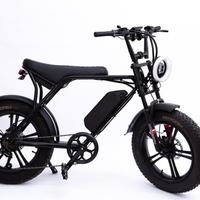 E-bike potente 48V 500/750W