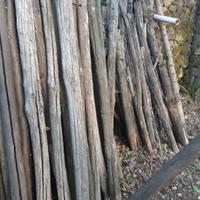 Pali di castagno
