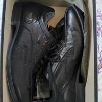 scarpe uomo Nero Giardini taglia 43