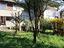 Immagine 11