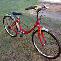 Bicicletta con marce