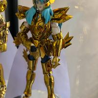 Cavalieri dello zodiaco pesci