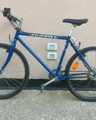 Mountain Bike Kastle