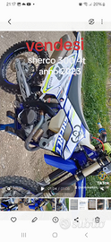 Scherco 300 4t targata 2023