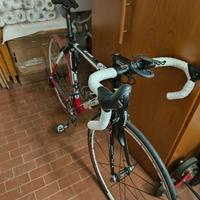 Bottecchia BDC Racing team 