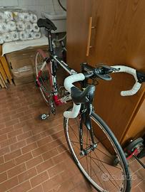 Bottecchia BDC Racing team 