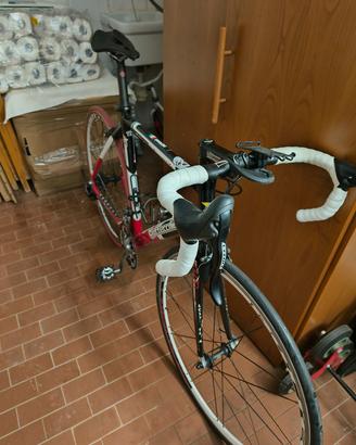 Bottecchia BDC Racing team 
