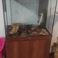 Acquario con mobiletto