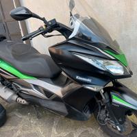 Kawasaki j300