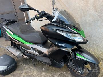 Kawasaki j300