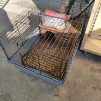 gabbia per conigli 