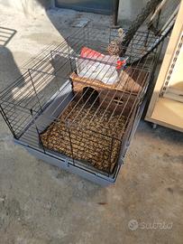 gabbia per conigli 