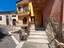 Immagine 8