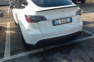  model y performance 2023 bianca