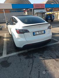 model y performance 2023 bianca