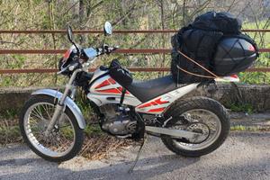 beta alp 200