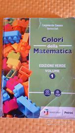 Libro  I colori della matematica ed. verde 