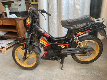 Malaguti fifty hf