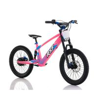 Bici/Moto Elettrica Brushless 36V 750W