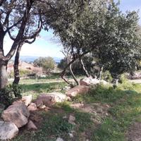 Poggio d pini panoramico terreno 1400 mq