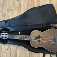 Kala U-Bass UBASS-EBY-FS fretted