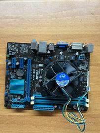 scheda madre Asus H61M-A + processore Intelel h61