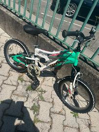 Bicicletta Bambino