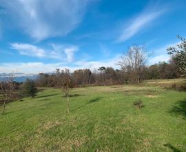 Terreno agricolo