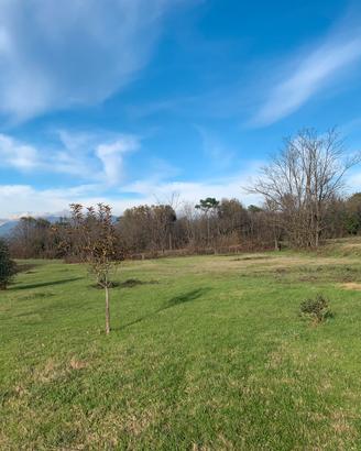Terreno agricolo