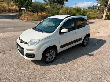Fiat Panda 1.3 MJT 80 CV S&S 4x4 Van 2 posti anno 