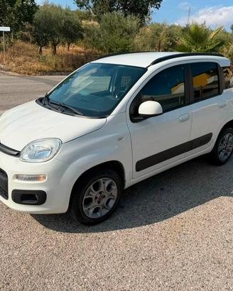Fiat Panda 1.3 MJT 80 CV S&S 4x4 Van 2 posti anno 
