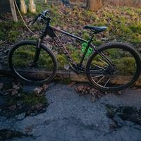 bici 29