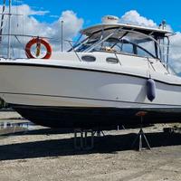 BOSTON WHALER 305 CONQUEST + 2x250hp MERCURY 2008