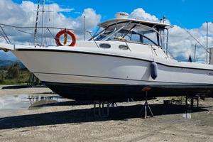 BOSTON WHALER 305 CONQUEST + 2x250hp MERCURY 2008