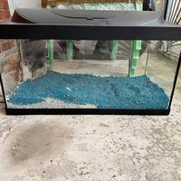 Acquario tetra con accessori