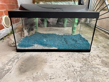 Acquario tetra con accessori
