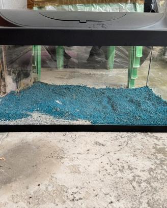 Acquario tetra con accessori