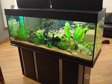 Acquario 400 litri
