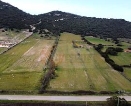 Terreno Agricolo - Siligo