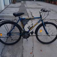 Bici semi nuova
