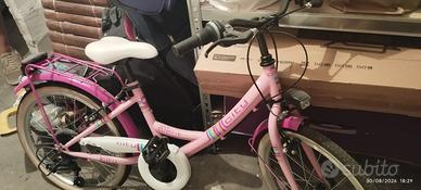 Bicicletta Ruota 20